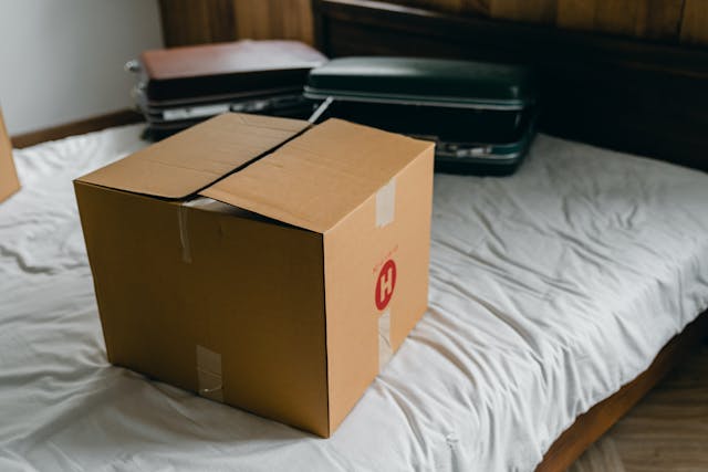 Apartment Moving 101: 6 Tips for a Smooth Transition to Your New Rental